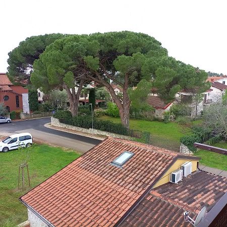 Apartments Ingrid Novigrad Istria Dış mekan fotoğraf