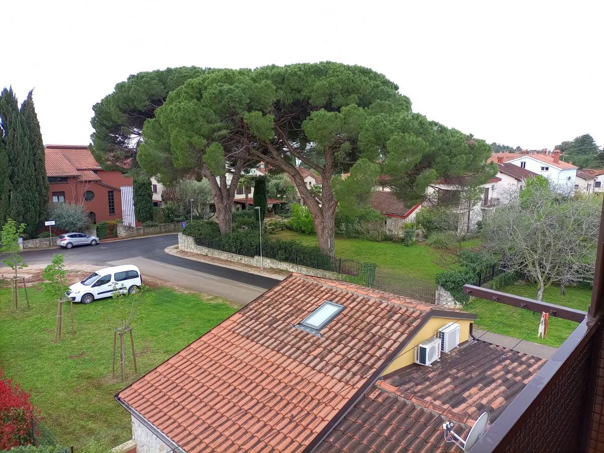 Apartments Ingrid Novigrad Istria Dış mekan fotoğraf