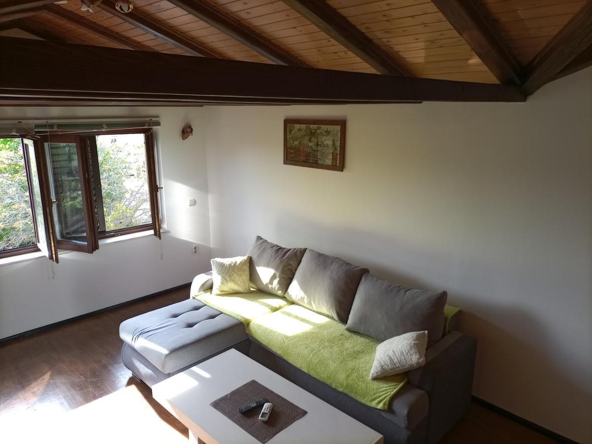 Apartments Ingrid Novigrad Istria Dış mekan fotoğraf
