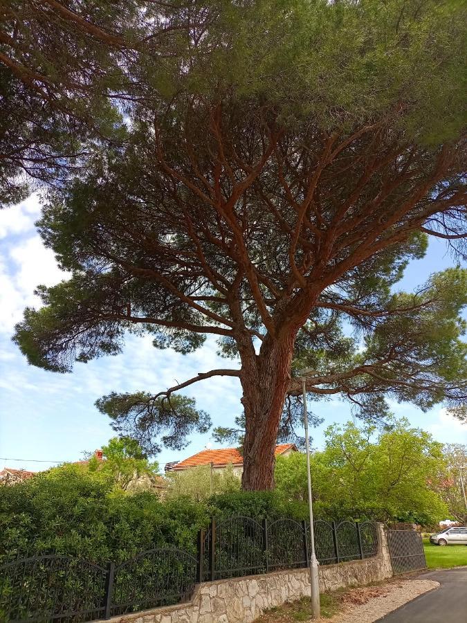 Apartments Ingrid Novigrad Istria Dış mekan fotoğraf