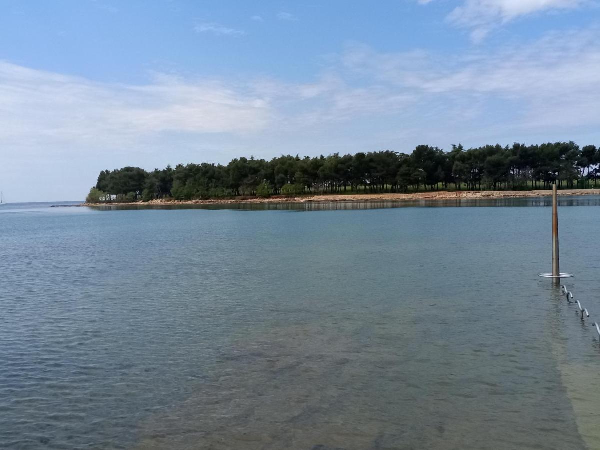 Apartments Ingrid Novigrad Istria Dış mekan fotoğraf