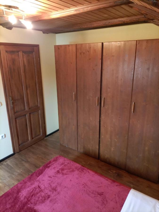 Apartments Ingrid Novigrad Istria Dış mekan fotoğraf
