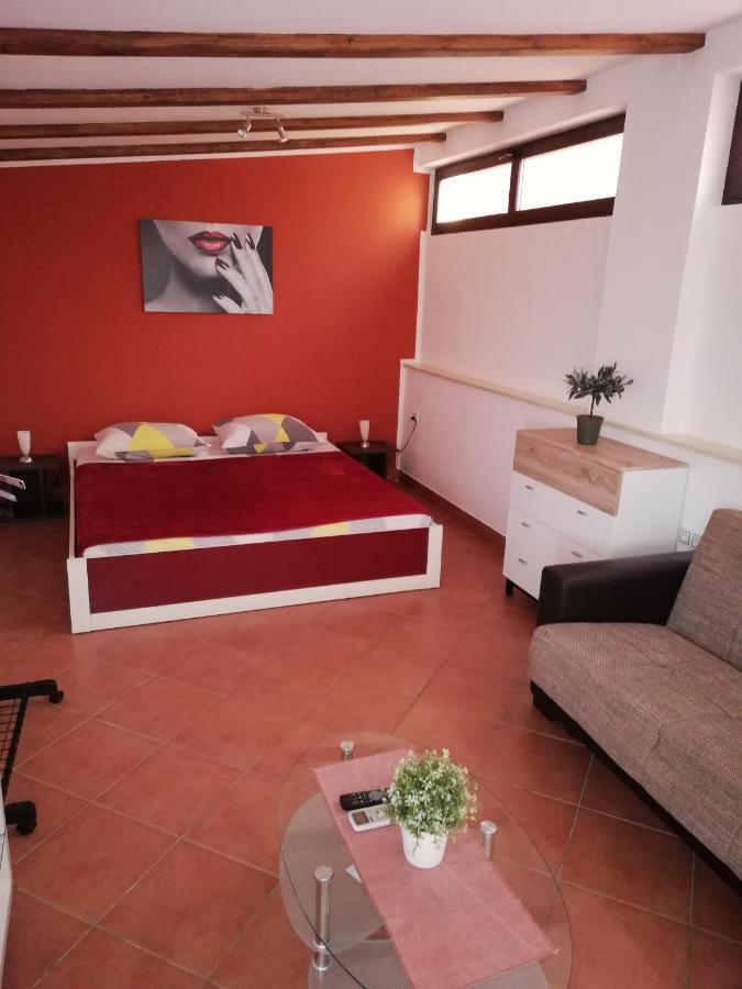 Apartments Ingrid Novigrad Istria Dış mekan fotoğraf