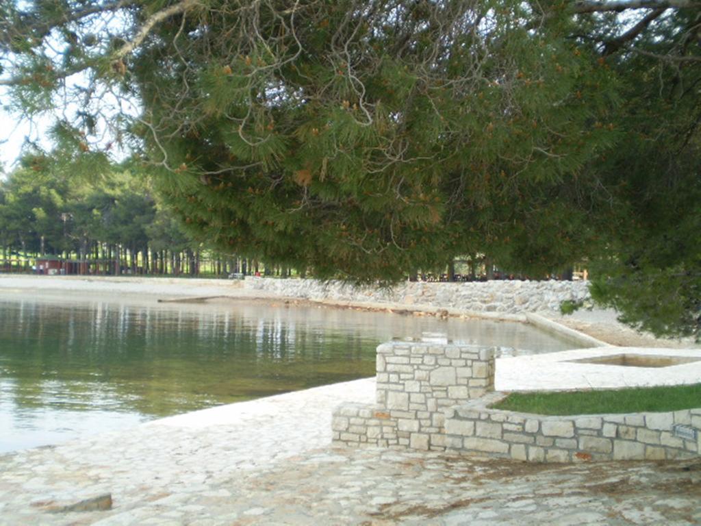 Apartments Ingrid Novigrad Istria Dış mekan fotoğraf