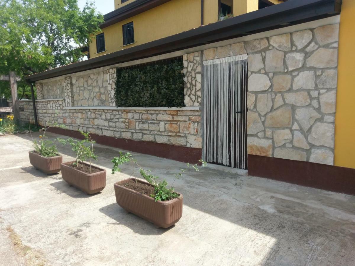 Apartments Ingrid Novigrad Istria Dış mekan fotoğraf