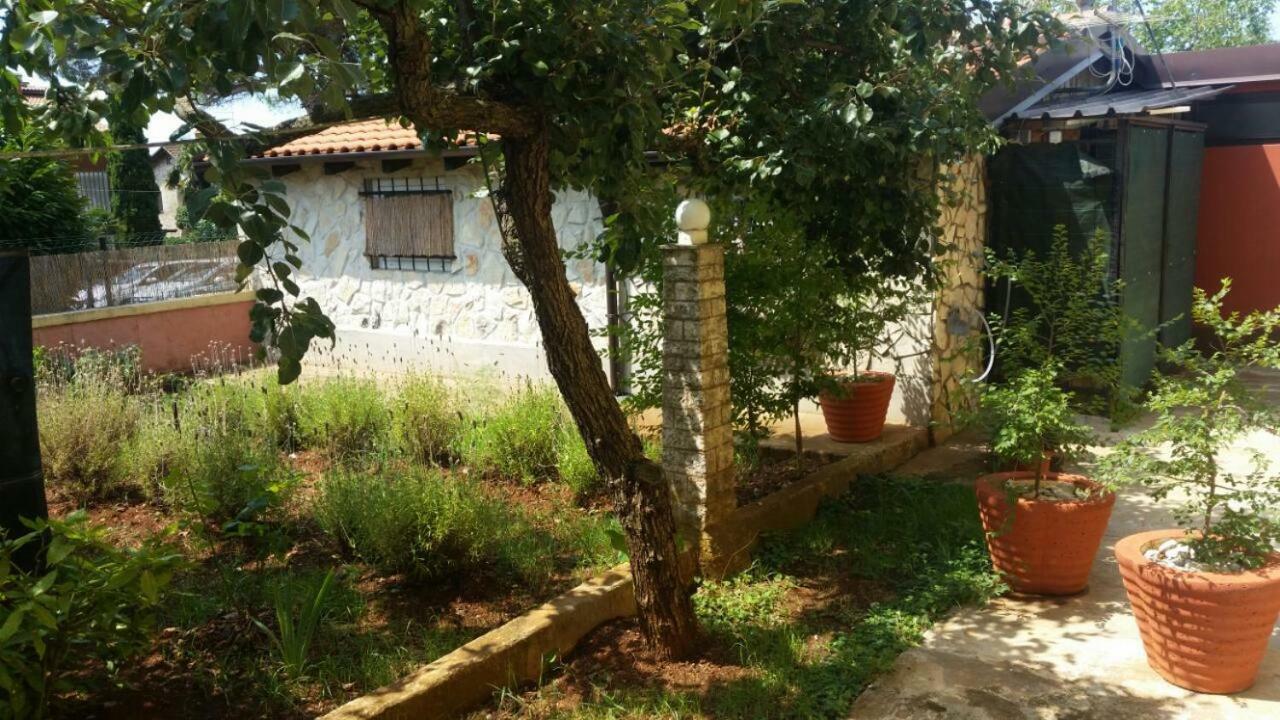 Apartments Ingrid Novigrad Istria Dış mekan fotoğraf
