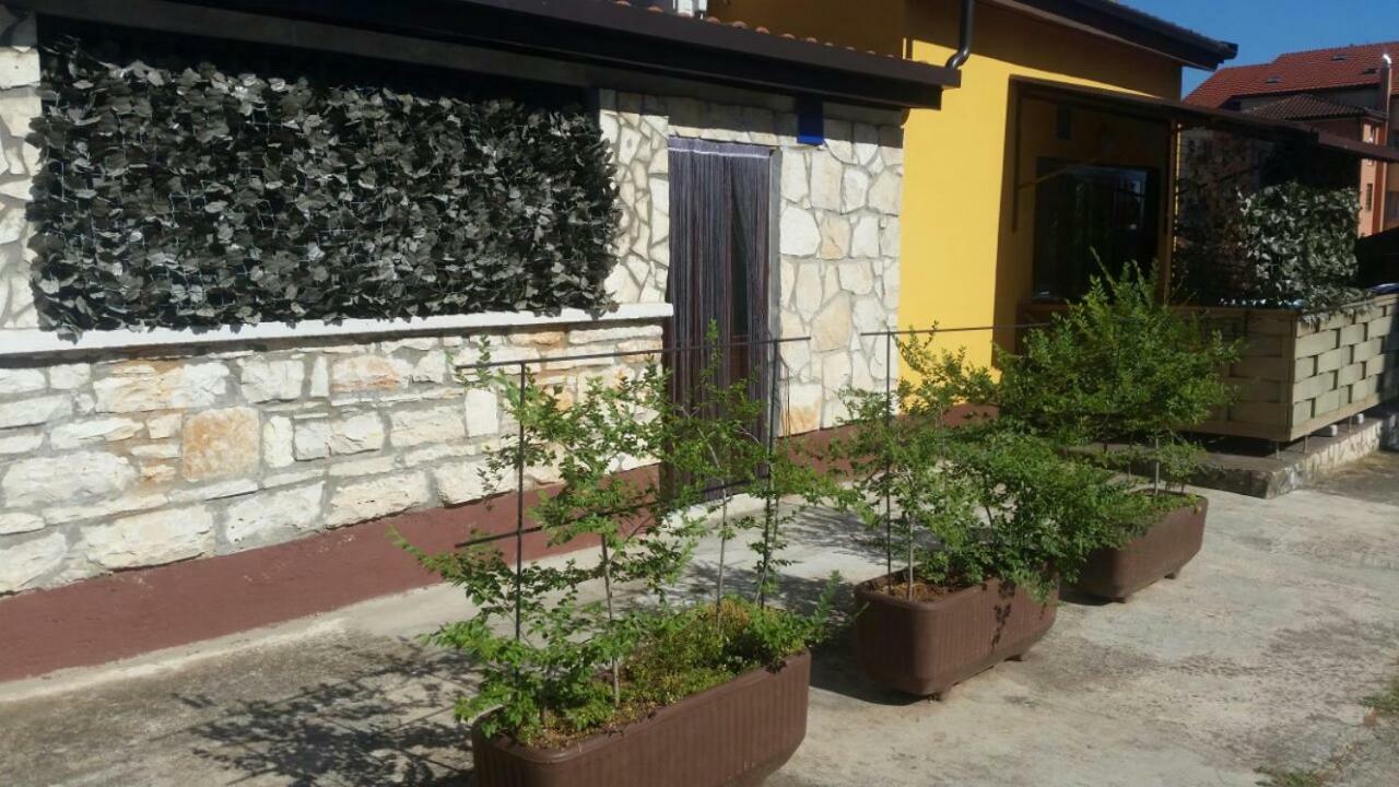 Apartments Ingrid Novigrad Istria Dış mekan fotoğraf