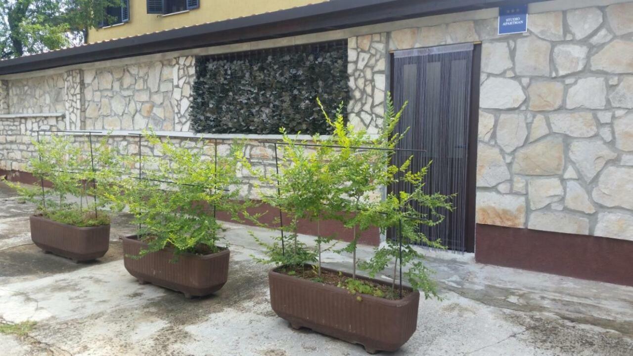 Apartments Ingrid Novigrad Istria Dış mekan fotoğraf
